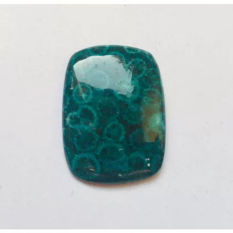 Korall fosszília kaboson kék - 32x24 mm 