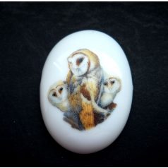 Porcelain cameo - 40x30 mm 