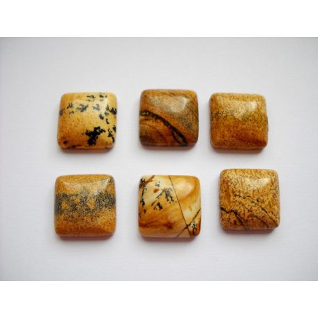 Owyhee jáspis  kaboson -16 mm