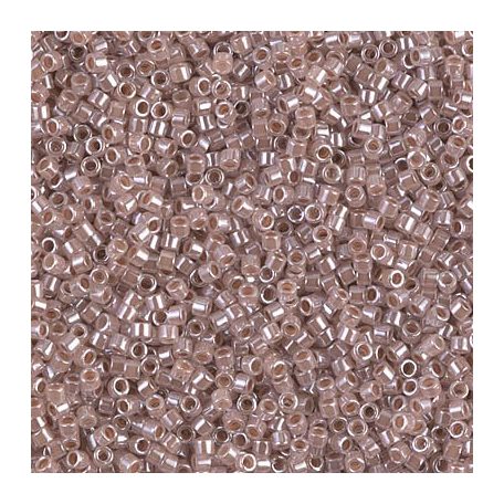 Delica 11/0 -  DB0256 - Lined Crystal Taupe  - 5 gr