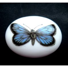 Porcelain cameo - 40x30 mm 