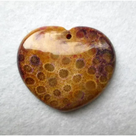 Corall fossil pendant bead