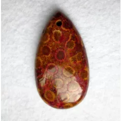 Corall fossil pendant bead