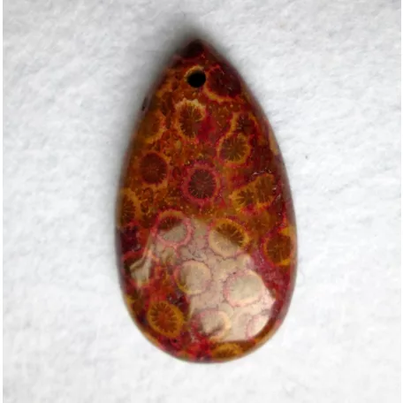 Corall fossil pendant bead