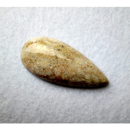 Corall fossil pendant bead