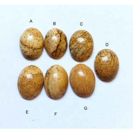 Owyhee jasper cabochon 16 mm