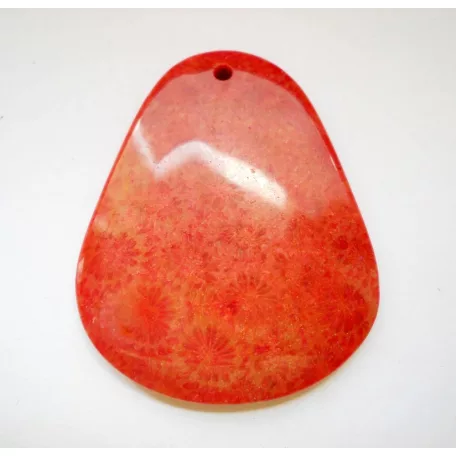 Corall fossil pendant bead