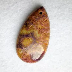 Corall fossil pendant bead