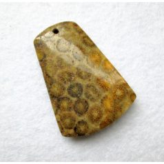 Corall fossil pendant bead
