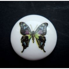 Porcelain cameo - 30 mm 