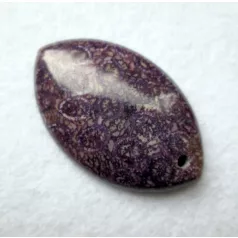 Corall fossil pendant bead