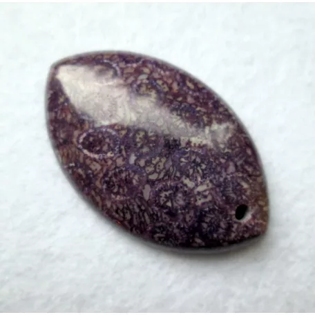 Korall fosszília kaboson - 44*28 mm - fúrt