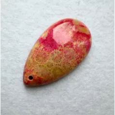 Corall fossil pendant bead