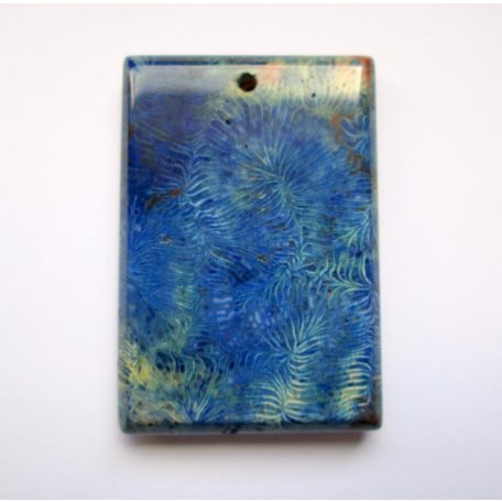 Corall fossil pendant bead