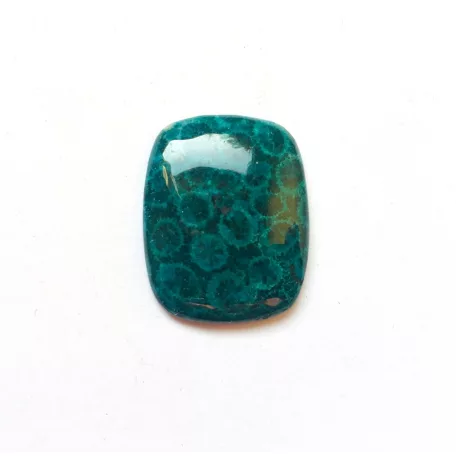 Corall fossil pendant bead