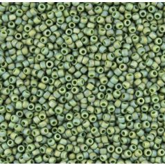 Toho 8/0 - #2633F - Semi-Glazed Rainbow Saguaro  - 10 gr