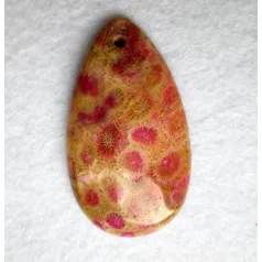 Corall fossil pendant bead