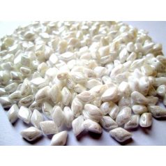 Gemduo 8x5 mm - Luster Opaque White - #L03000 - 5 gr (34 db)