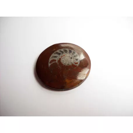 Vörös tengeri üledékes ammonit kaboson - 29 mm