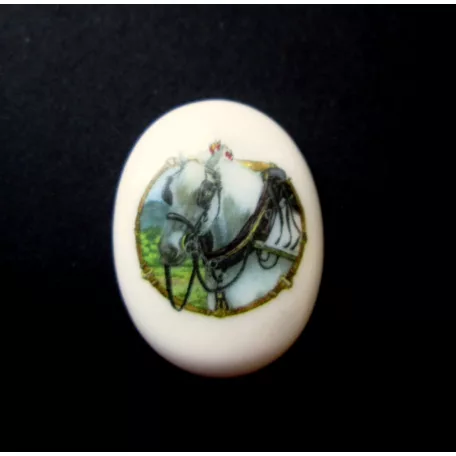 Porcelain cameo - 40x30 mm 