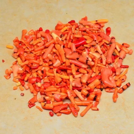 Narancs korall - 15 gr