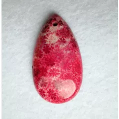 Corall fossil pendant bead