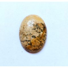 Owyhee jáspis  kaboson - 25x18 mm
